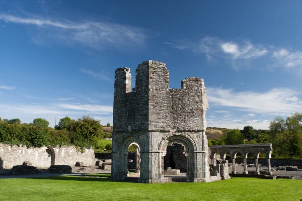 Mellifont Abbey található County Louth, Írország, Európa — Stock Fotó