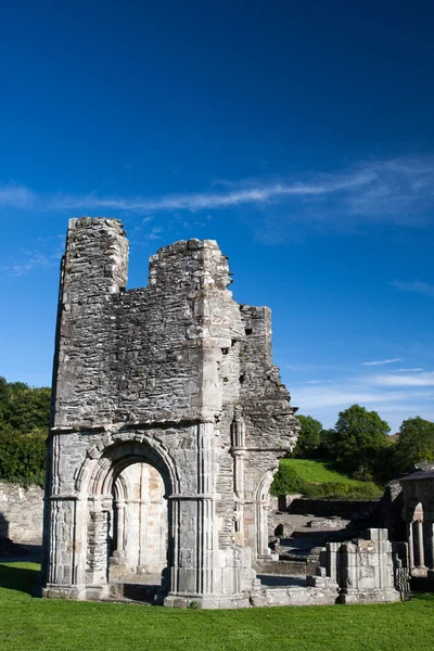 Mellifont Abbey található County Louth, Írország, Európa — Stock Fotó