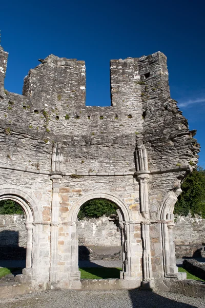 Mellifont Abbey található County Louth, Írország, Európa — Stock Fotó
