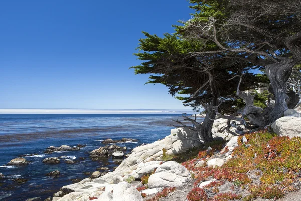 Vista al mar en 17 Mile Drive en Big Sur California — Foto de Stock