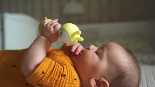 Um bebê bonito de três meses de idade segura um chocalho artesanal em suas mãos, deita-se de costas na cama no quarto das crianças. conceito de maternidade, vista lateral — Vídeo de Stock