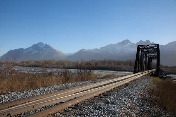 Pont ferroviaire étroit — Photo