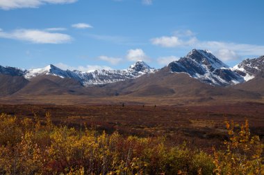 Tundra Güz