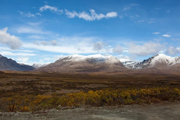 Tundra en otoño —  Fotos de Stock