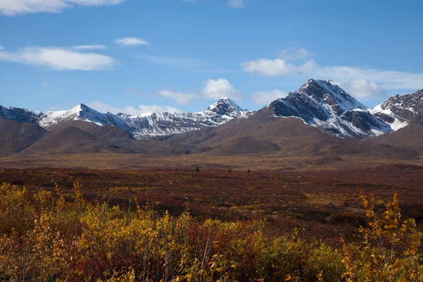 Tundra im Herbst — Stockfoto