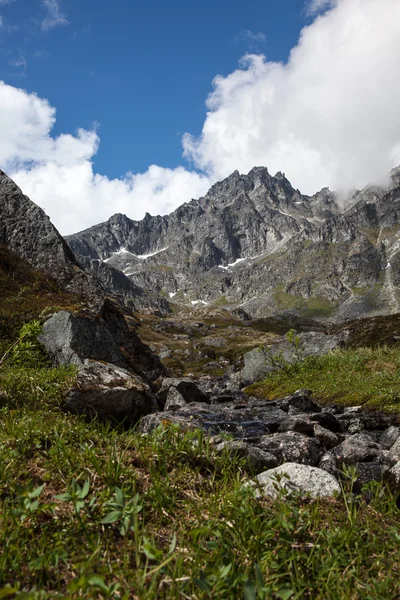 Stream Running Through — Stock Photo, Image