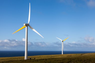yenilenebilir enerji üreten
