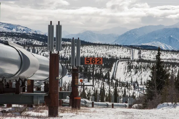 Oil Pipeline in Wilderness — Stock Photo, Image