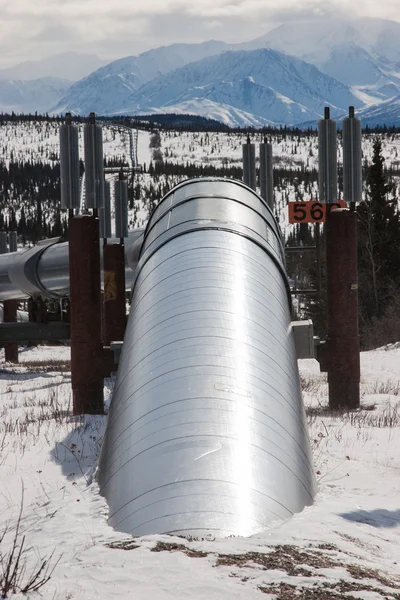 Ölpipeline in der Wildnis — Stockfoto