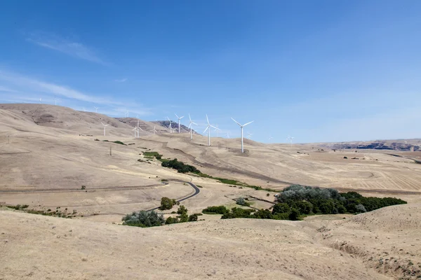 Parc éolien en milieu rural aux États-Unis — Photo