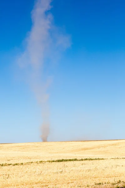 Staubteufel auf einem Feld — Stockfoto