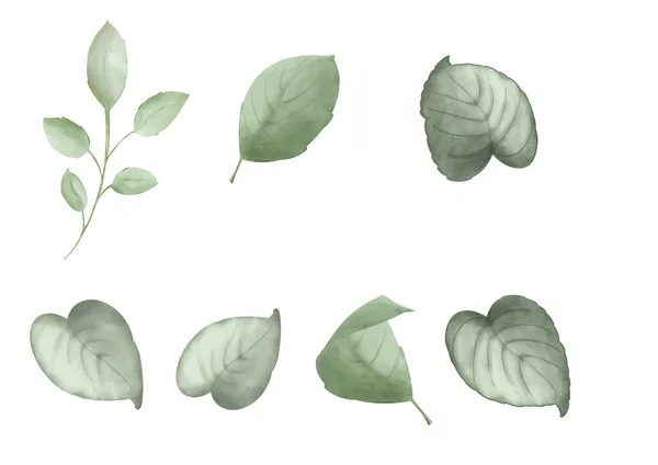 Sada Zelených Květinových Listů Akvarel Ruční Kresba Set Letních Listů — Stock fotografie