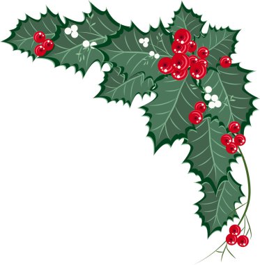Noel sınırında yeşillikler, beyaz ökseotu ve kırmızı böğürtlenler. Noel çelengi. Tasarımınız için vektör illüstrasyonu.