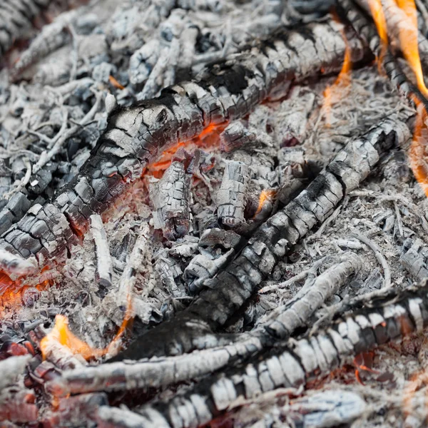 Ash and embers of bonfire after barbecue cooking — Stock Photo, Image