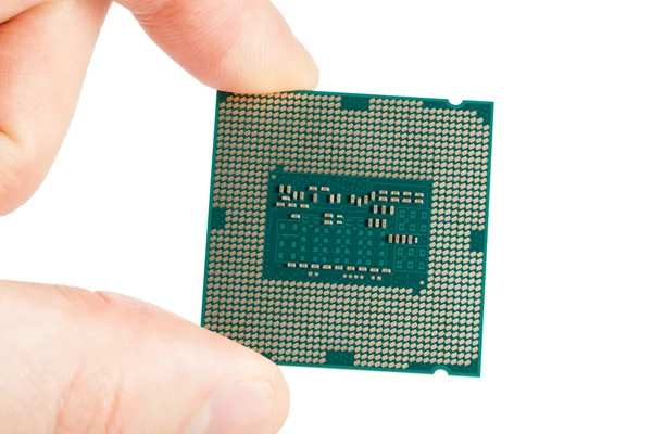 Computer's processor in hand isolated on a white background — Stock Photo, Image