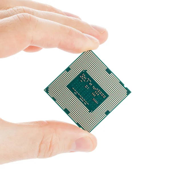 Computer's processor in hand isolated on a white background - 1 to 1 ratio — Stock Photo, Image