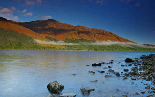 lochy Oda