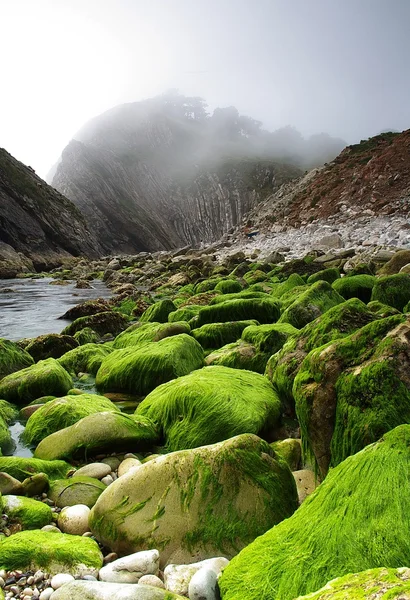 Lulworth koyu