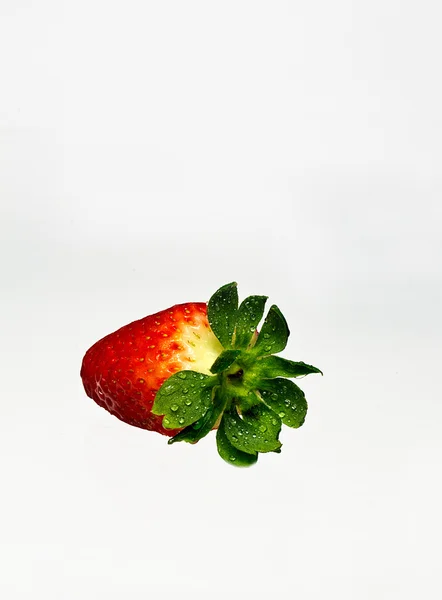 çilek