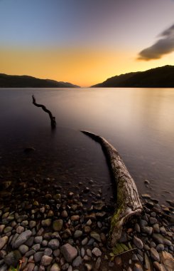 Loch ness canavarı