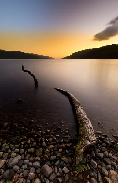 Loch ness canavarı