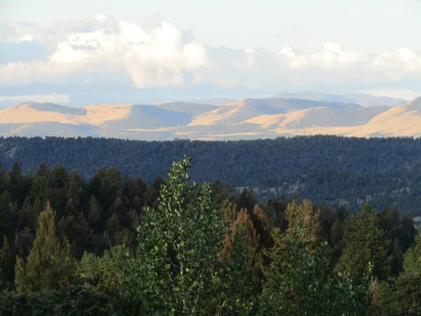 コロラド州の緑の森の前景と山のパノラマ — ストック写真