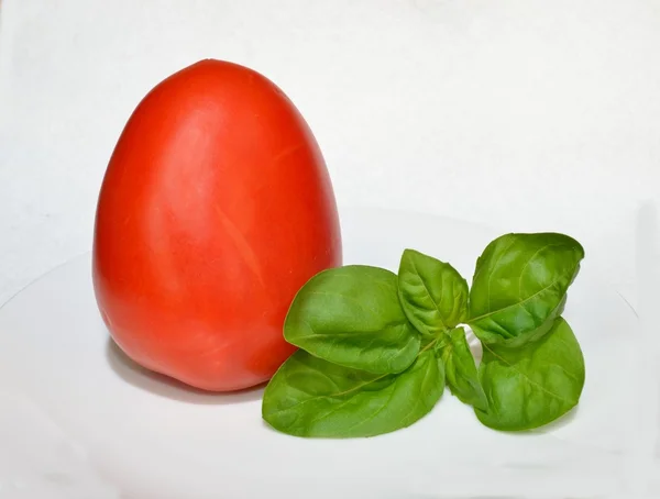 Basil and tomato — Stock Photo, Image