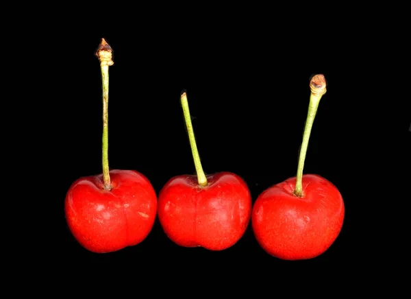 Tres cerezas — Foto de Stock