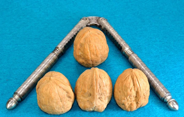 Nueces — Foto de Stock