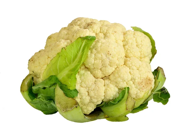 Cauliflower — Stock Photo, Image