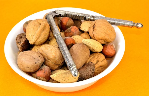 Mixed nuts in the shell — Stock Photo, Image