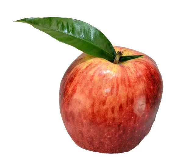 Jabłko z liściem — Zdjęcie stockowe
