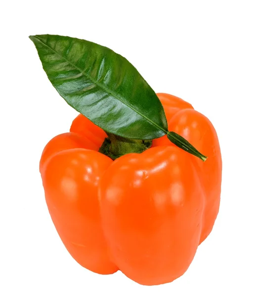 Pepper with a leaf — Stock Photo, Image