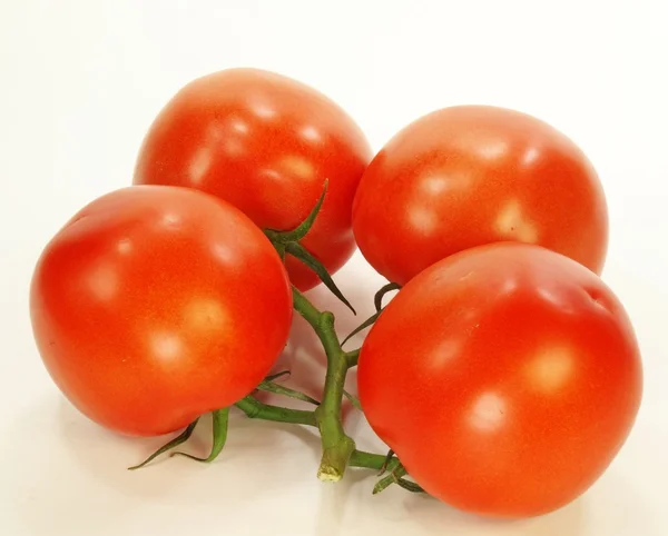 Tomatoes — Stock Photo, Image