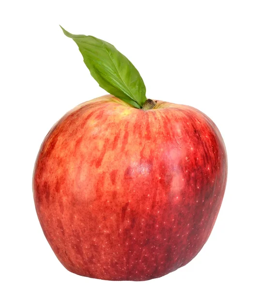Яблоко с листом — стоковое фото