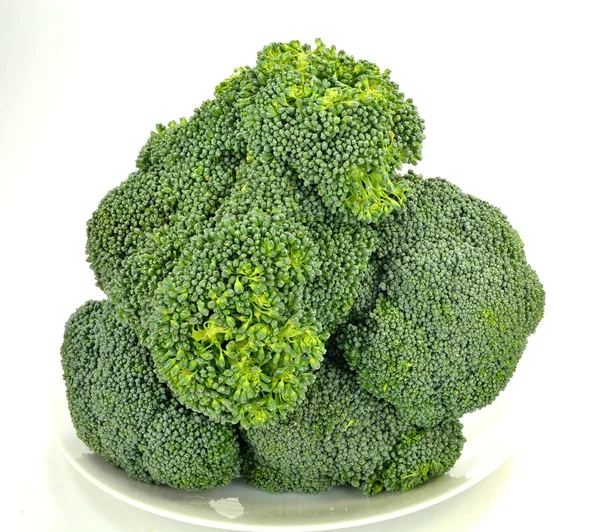 Broccoli — Stockfoto