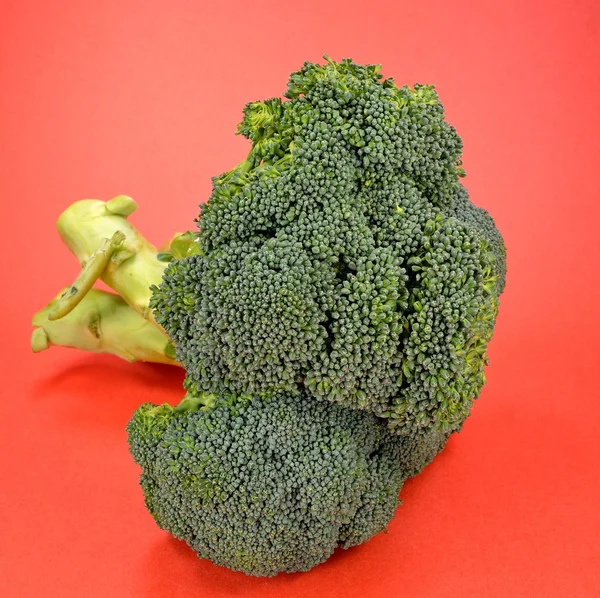 Broccoli — Stockfoto