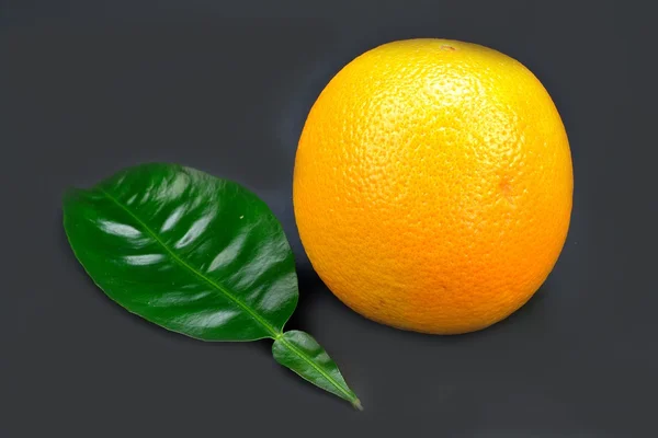 Pojedynczy pomarańczowy — Zdjęcie stockowe