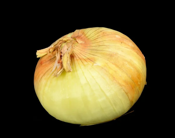 Cebolla amarilla — Foto de Stock