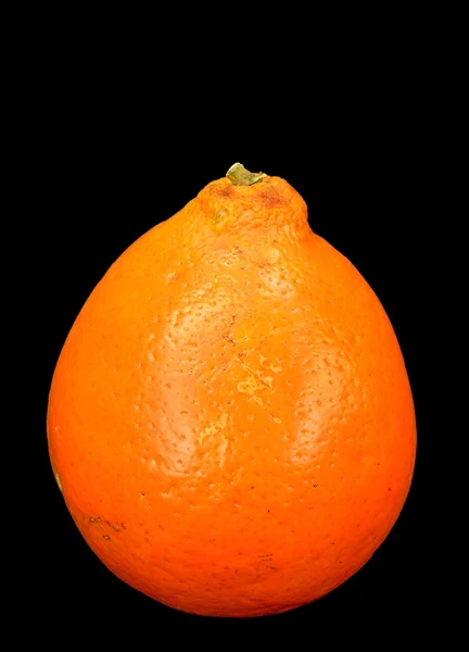 Honung klocka orange — Stockfoto