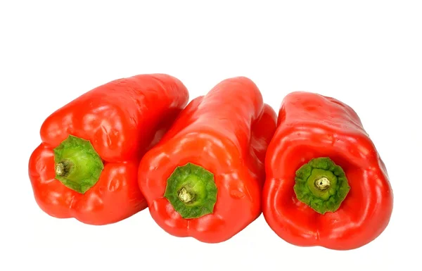 Röd paprika — Stockfoto