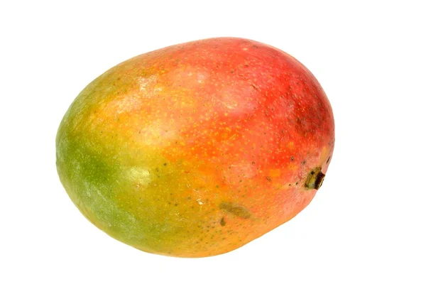 Mango — Stockfoto