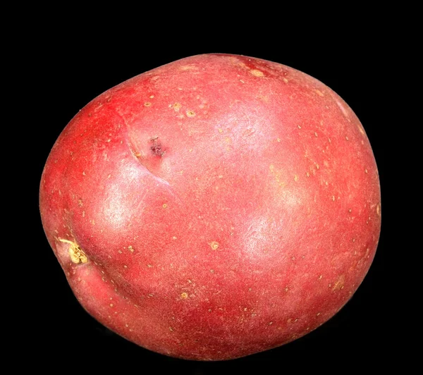 Rode aardappel — Stockfoto