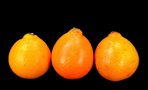 Miód dzwon pomarańcze — Zdjęcie stockowe