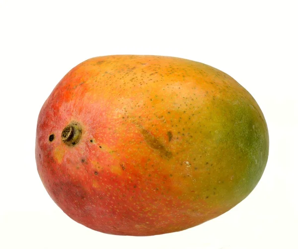 Mango — Stockfoto