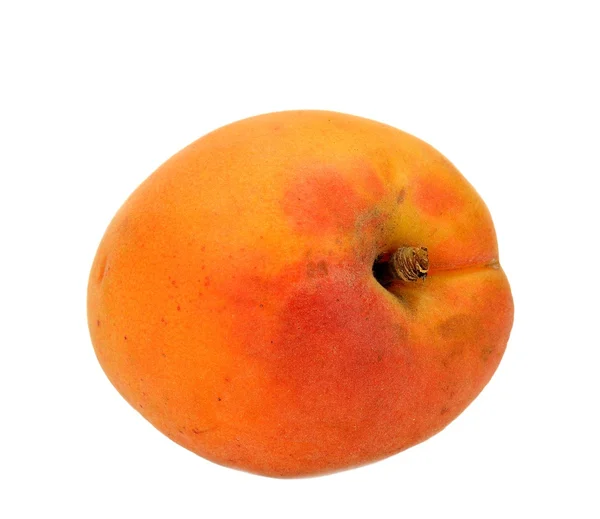 Apricot — Stock Photo, Image