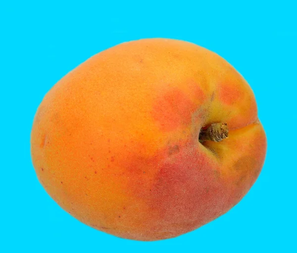 Apricot — Stock Photo, Image