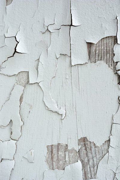 Pintura blanca para pelar — Foto de Stock