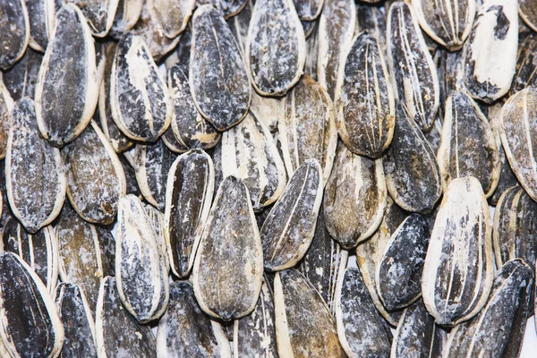 Salted sunflower seeds — Stock Photo, Image