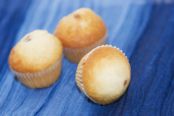 Nybakade muffins — Stockfoto